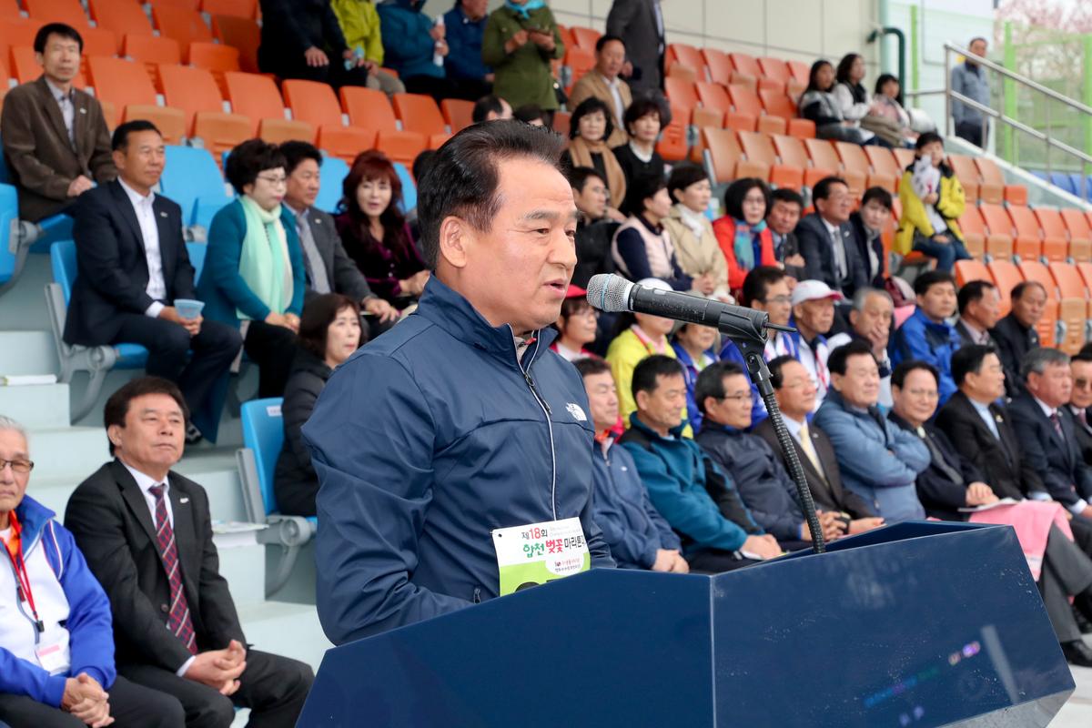 제18회 합천벚꽃마라톤 대회1