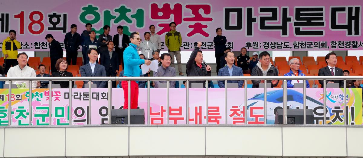 제18회 합천벚꽃마라톤 대회1
