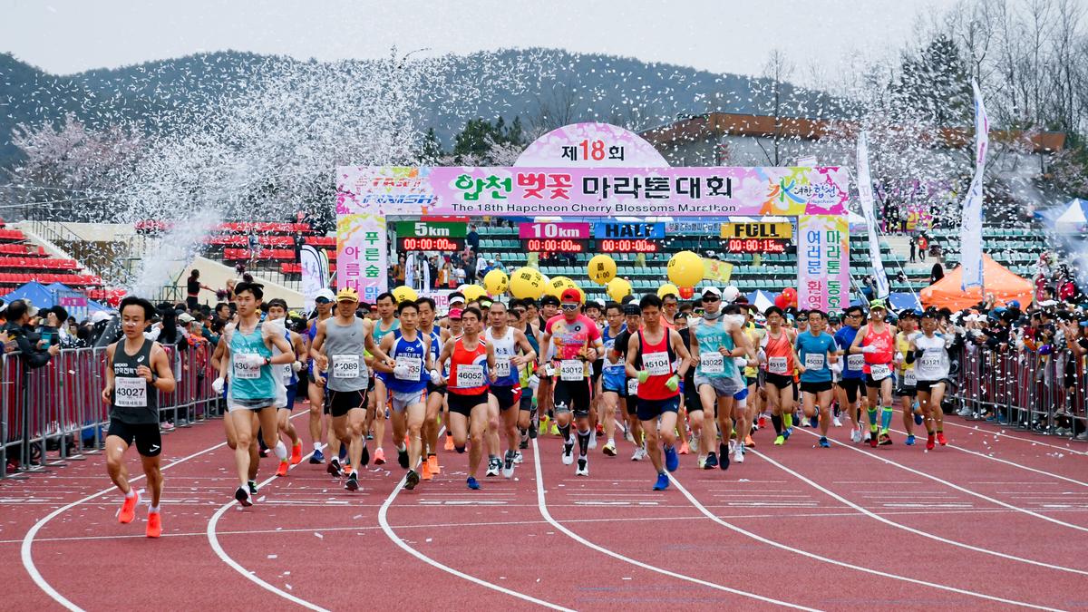 제18회 합천벚꽃마라톤 대회1