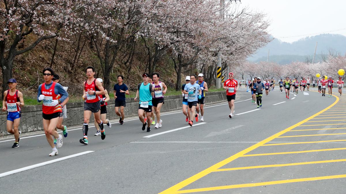 제18회 합천벚꽃마라톤 대회2