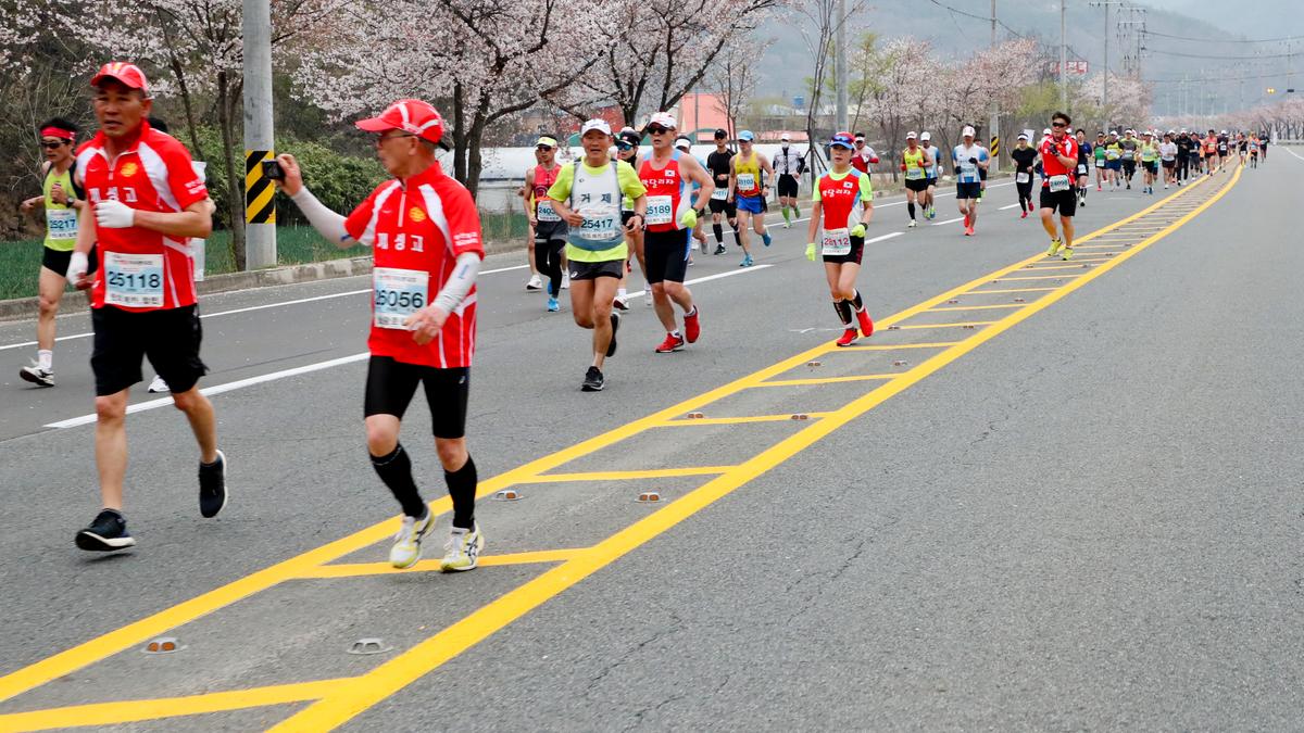 제18회 합천벚꽃마라톤 대회2