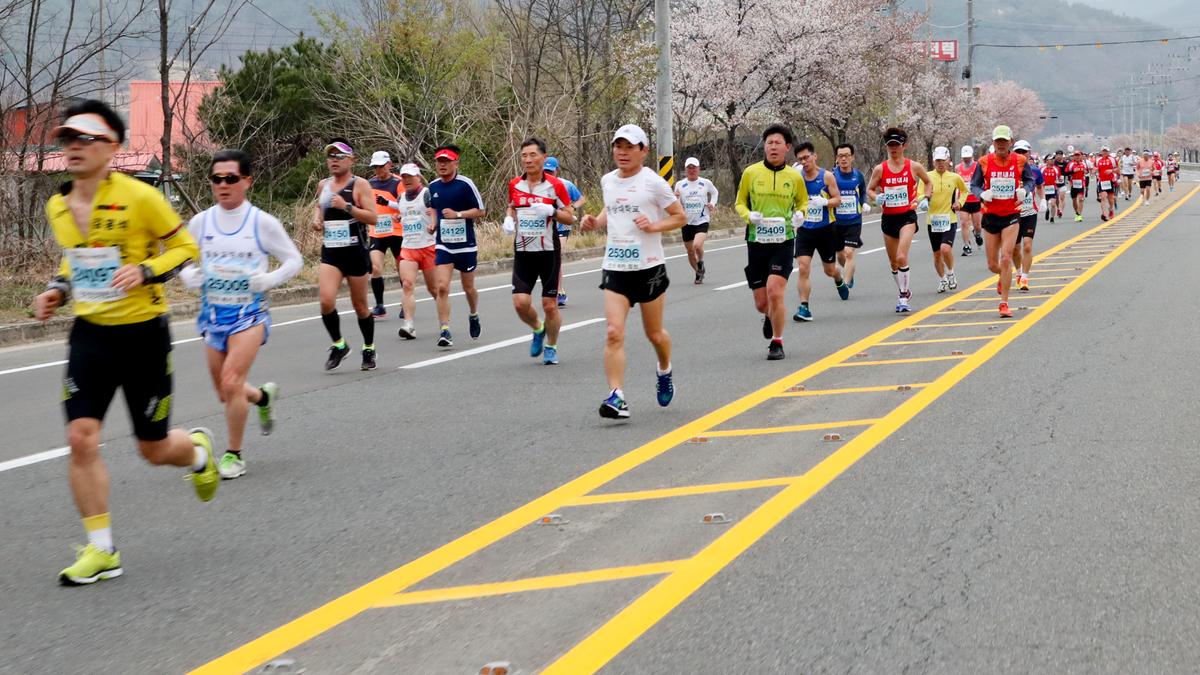 제18회 합천벚꽃마라톤 대회2