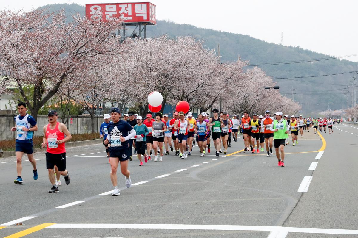 제18회 합천벚꽃마라톤 대회2