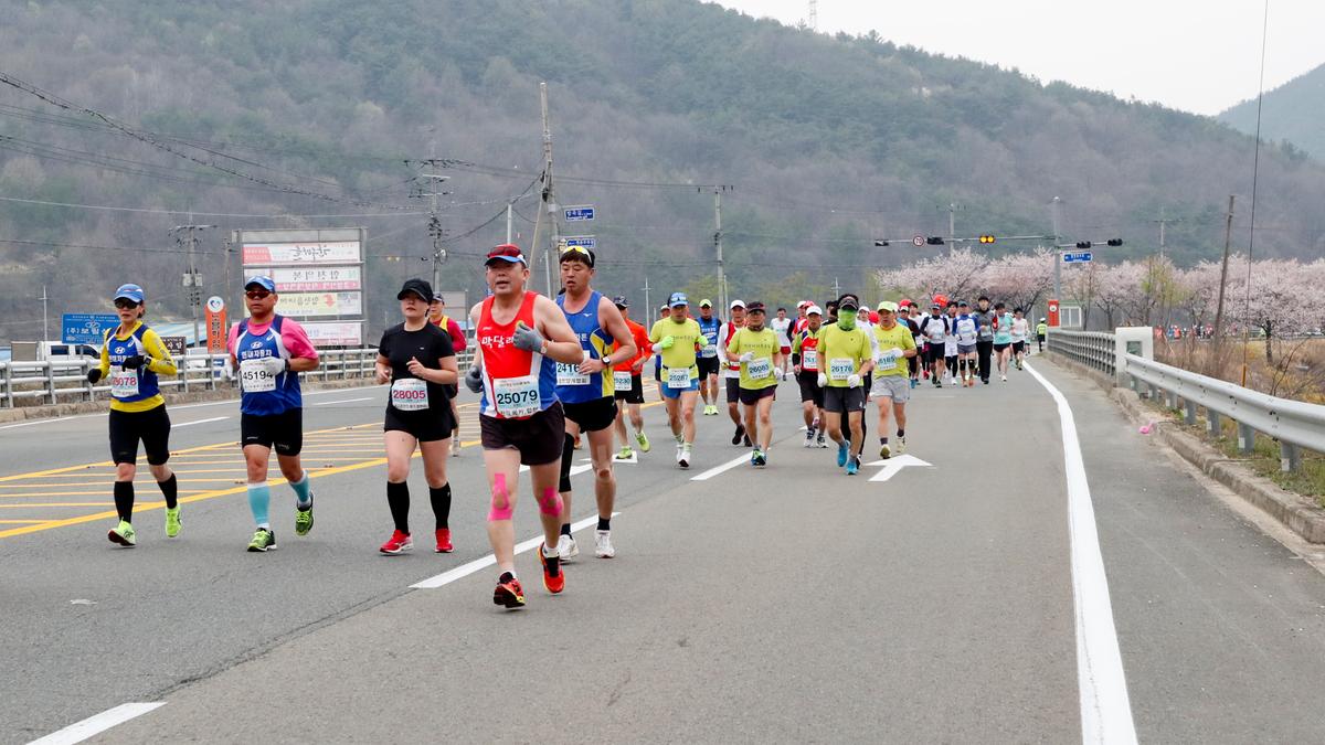 제18회 합천벚꽃마라톤 대회2