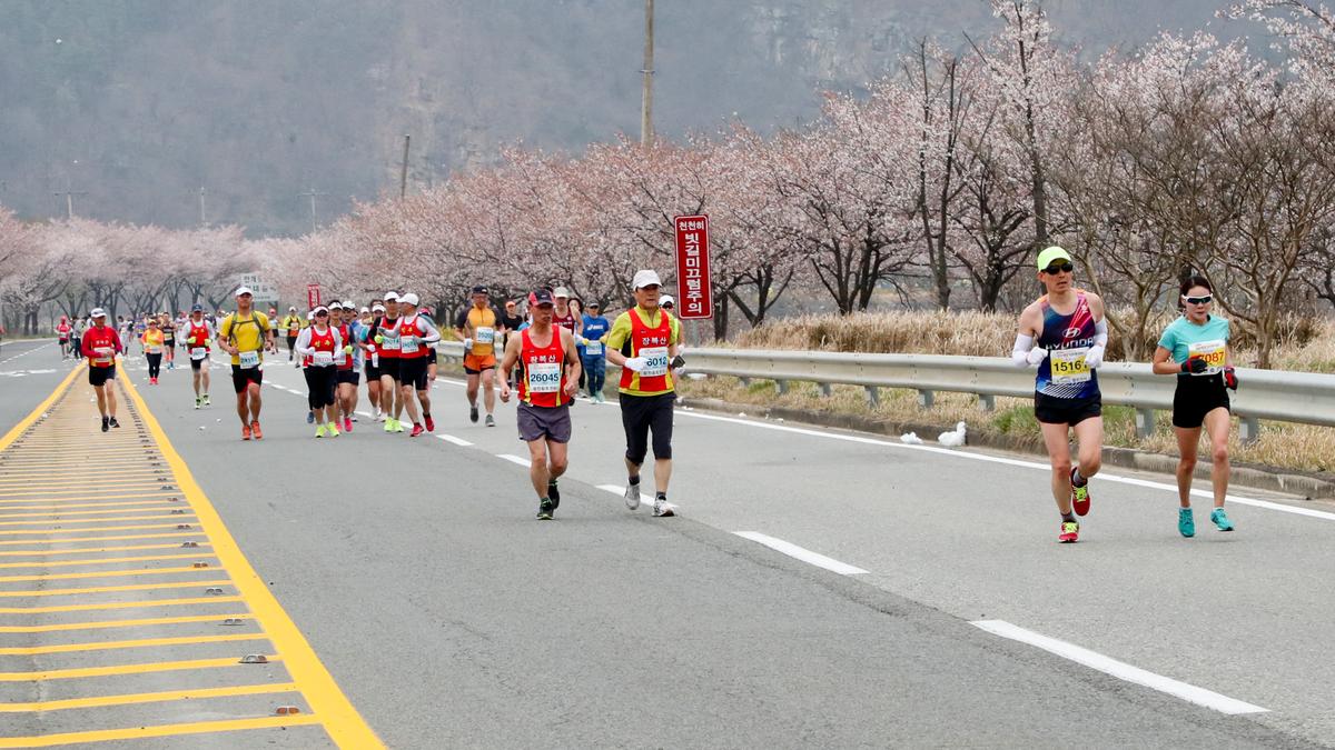 제18회 합천벚꽃마라톤 대회2
