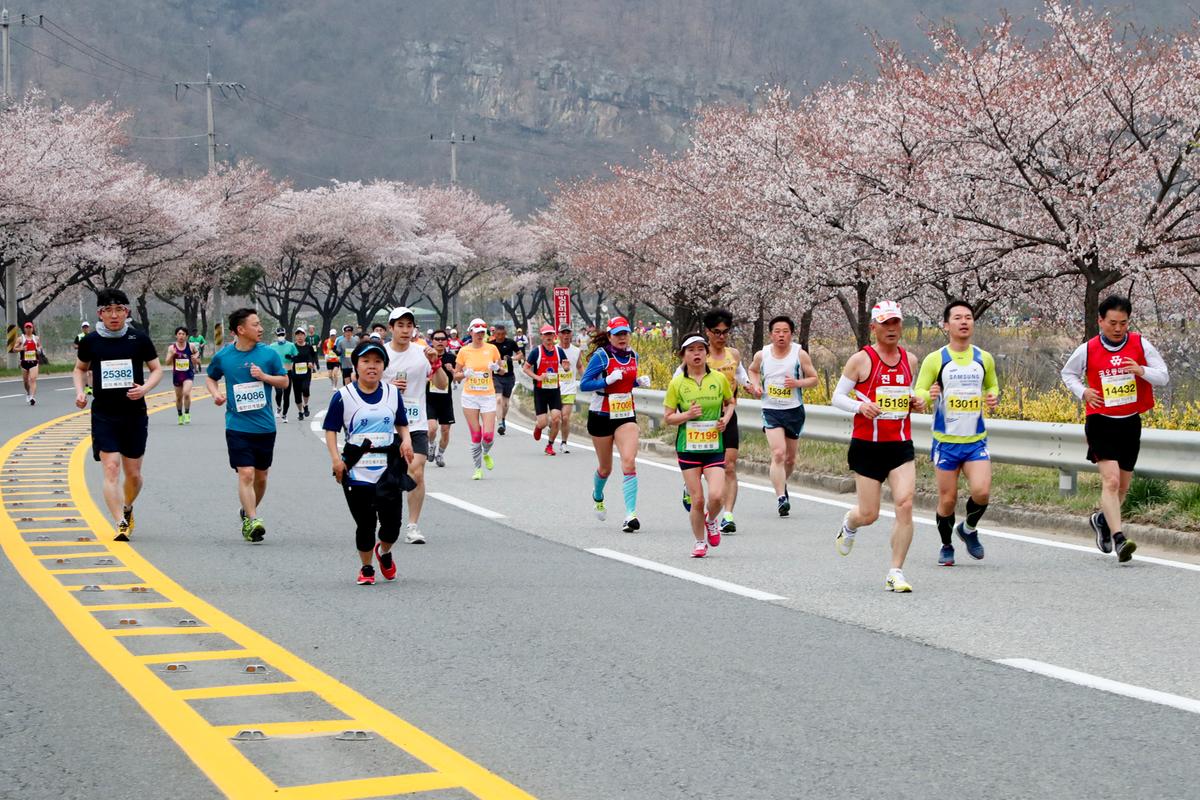 제18회 합천벚꽃마라톤 대회2