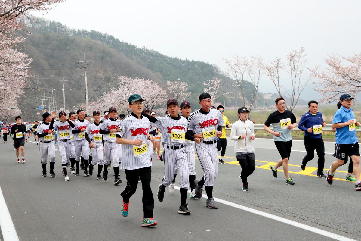 제18회 합천벚꽃마라톤 대회2
