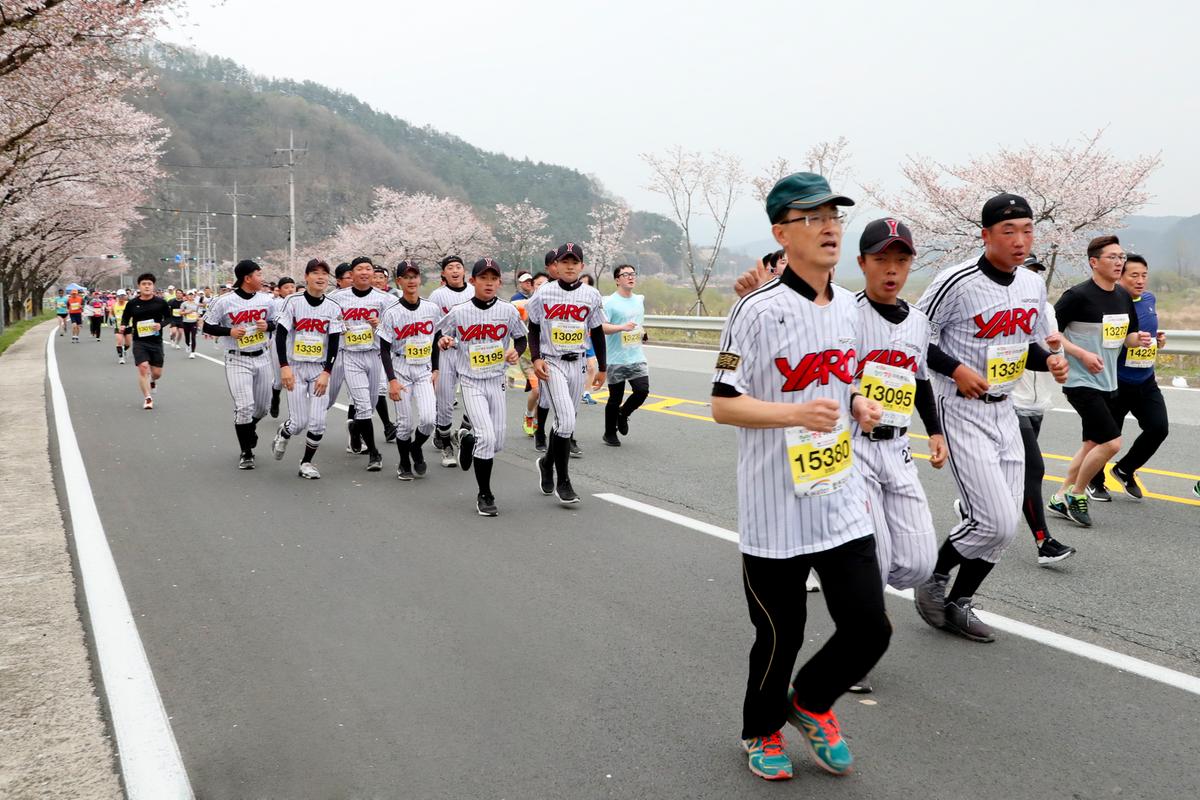 제18회 합천벚꽃마라톤 대회2