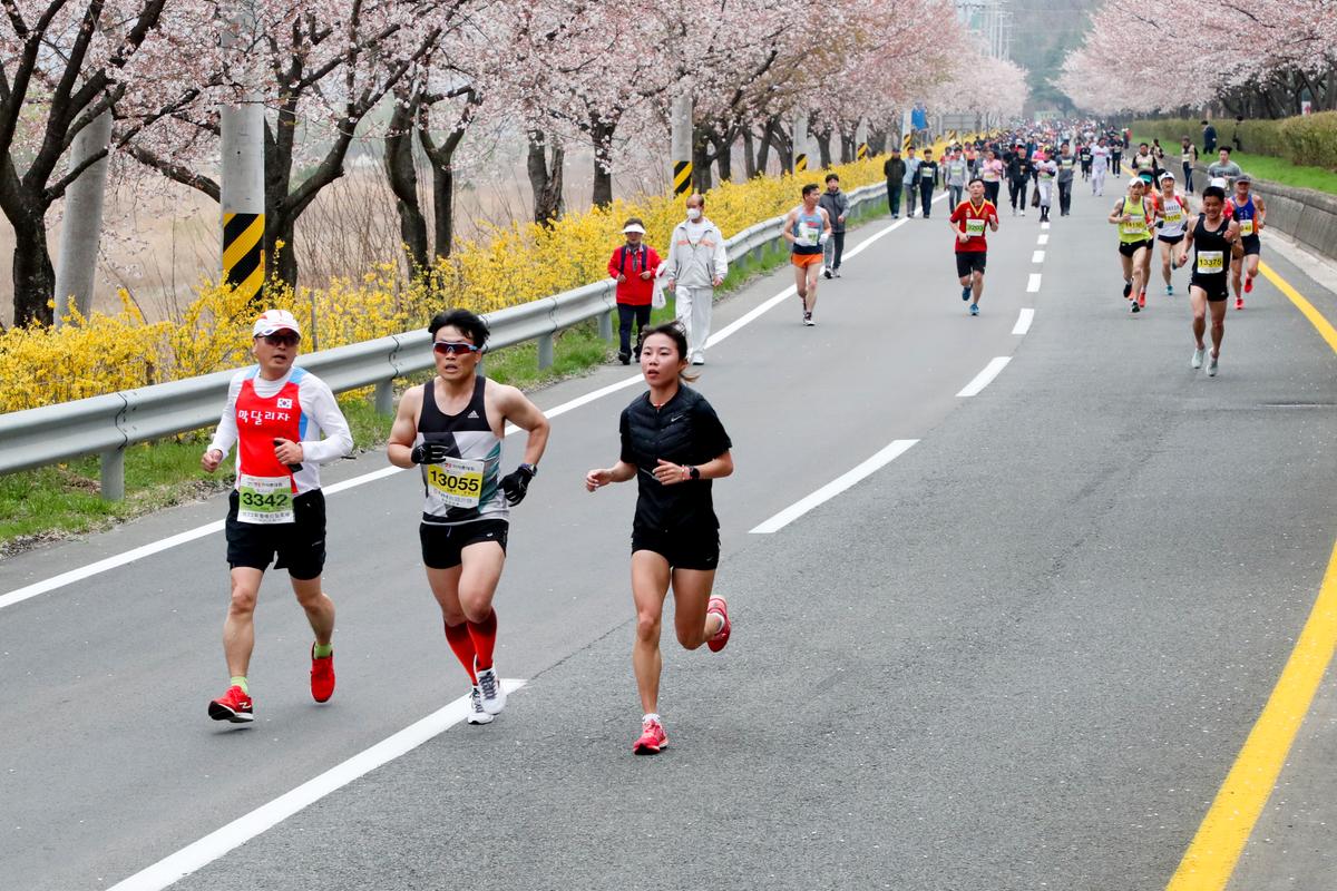 제18회 합천벚꽃마라톤 대회2