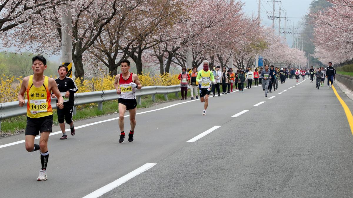 제18회 합천벚꽃마라톤 대회2
