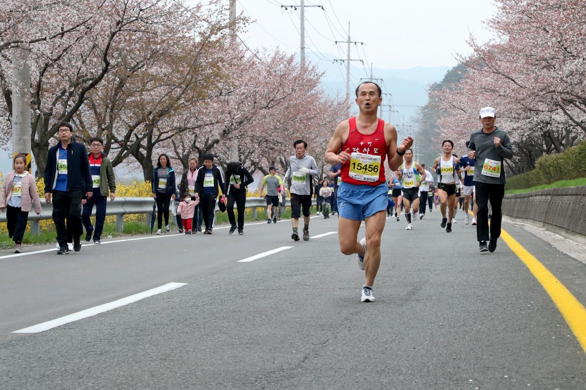 제18회 합천벚꽃마라톤 대회2
