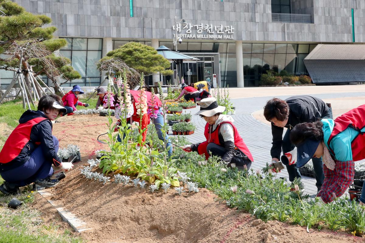 대장경테마파크 봄맞이 꽃단장