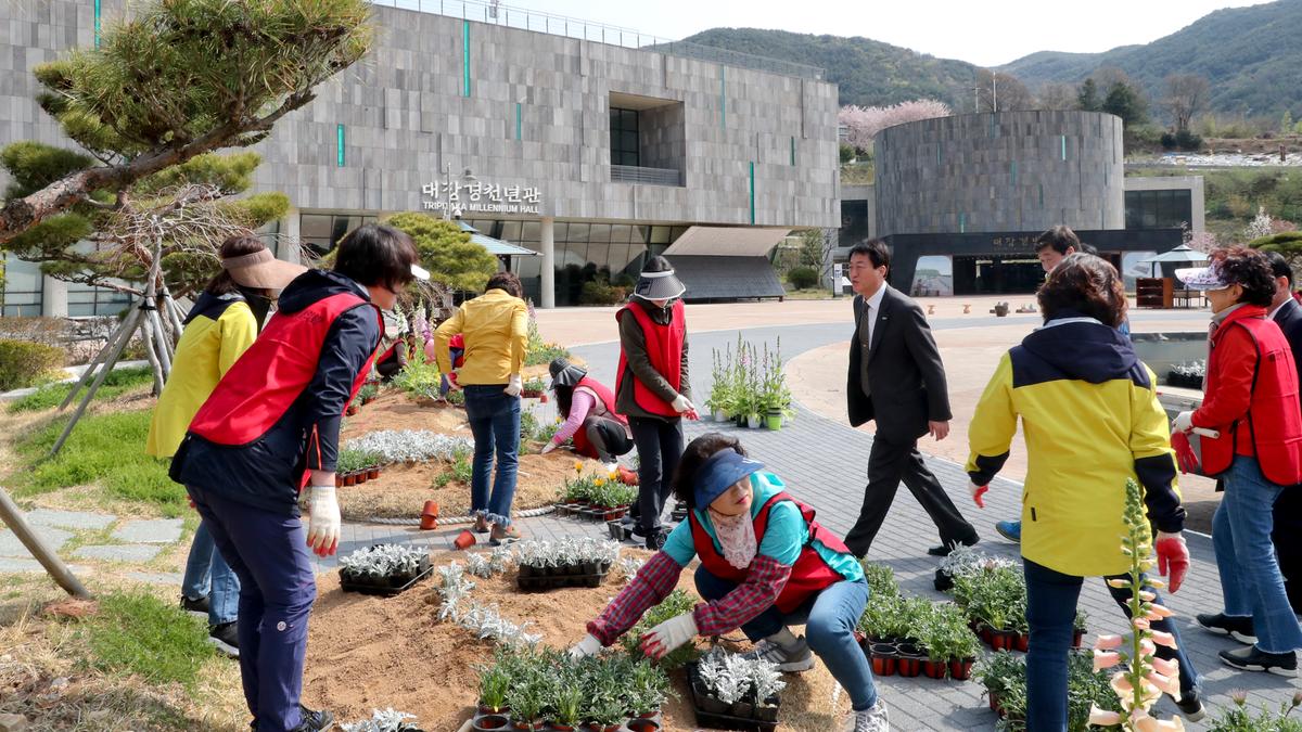 대장경테마파크 봄맞이 꽃단장