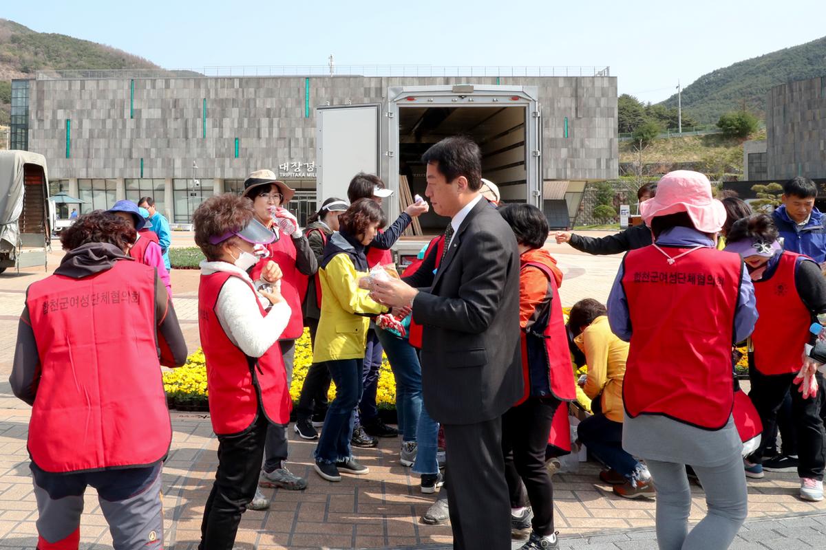 대장경테마파크 봄맞이 꽃단장