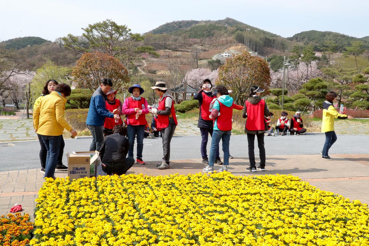 대장경테마파크 봄맞이 꽃단장