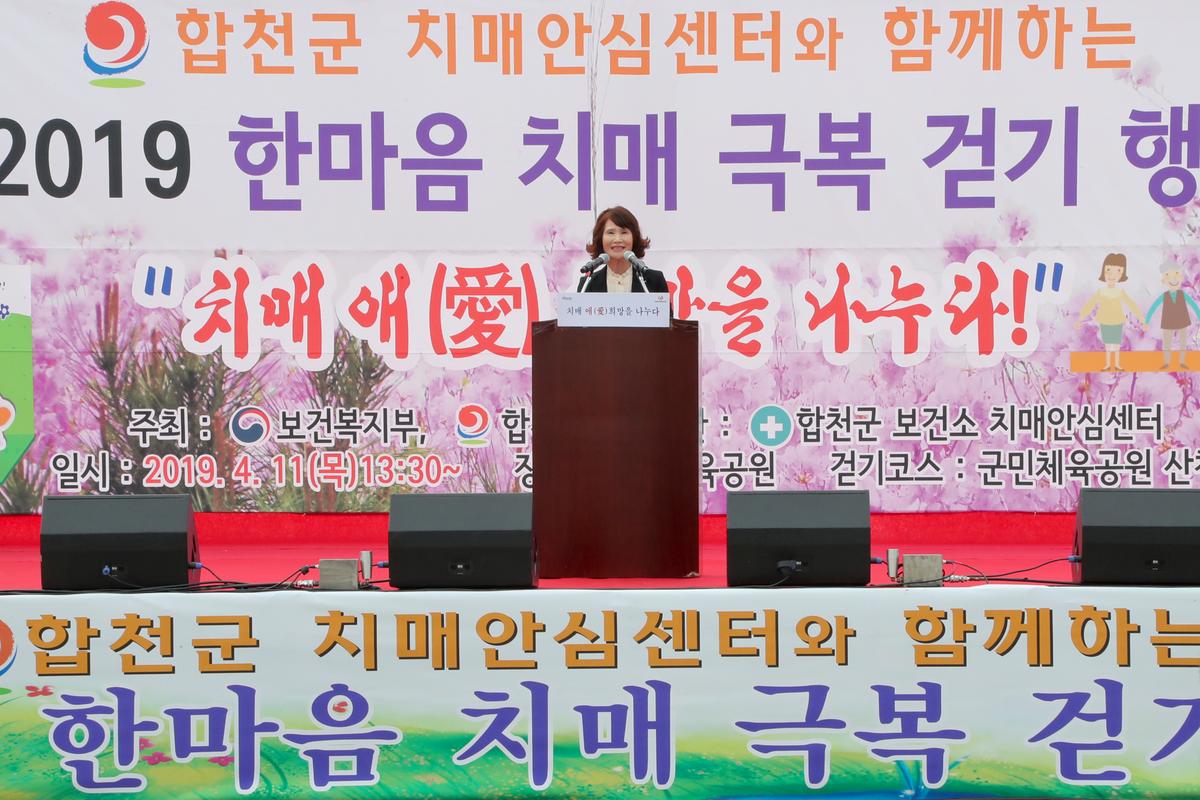2019년 한마음 치매극복 걷기행사