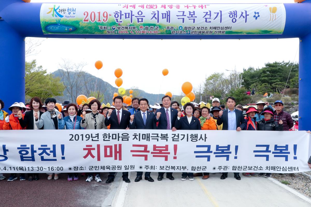 2019년 한마음 치매극복 걷기행사