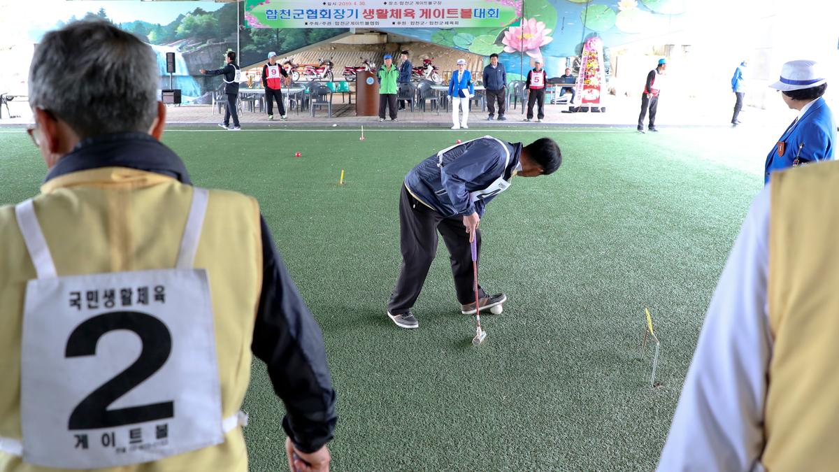 제3회 합천군협회장기 게이트볼 대회 개최