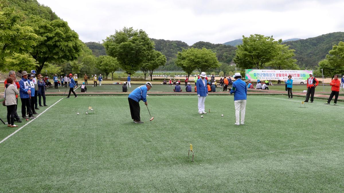 제3회 합천군협회장기 게이트볼 대회 개최