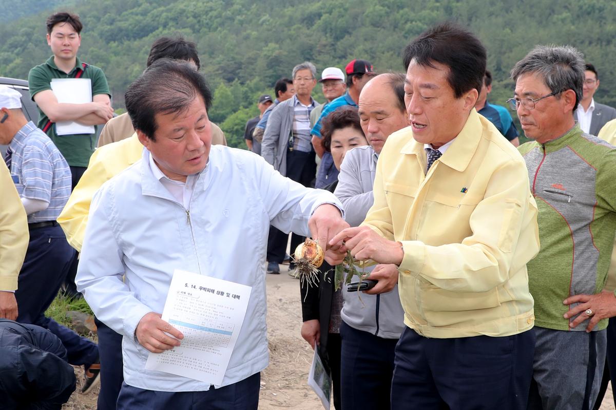 우박피해 현장 방문