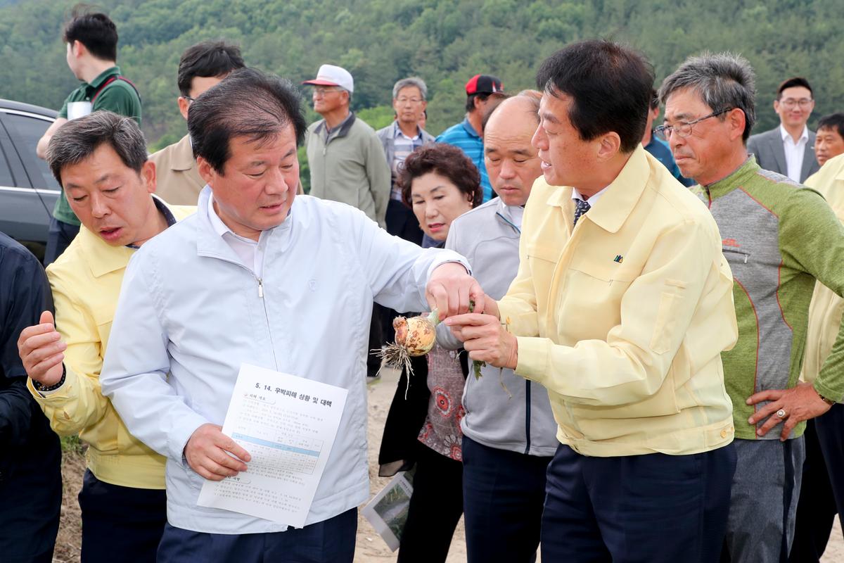 우박피해 현장 방문