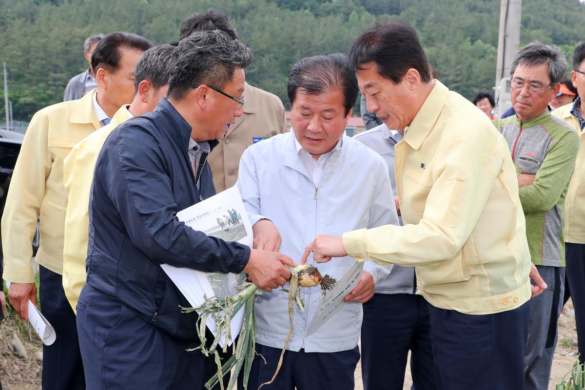 우박피해 현장 방문
