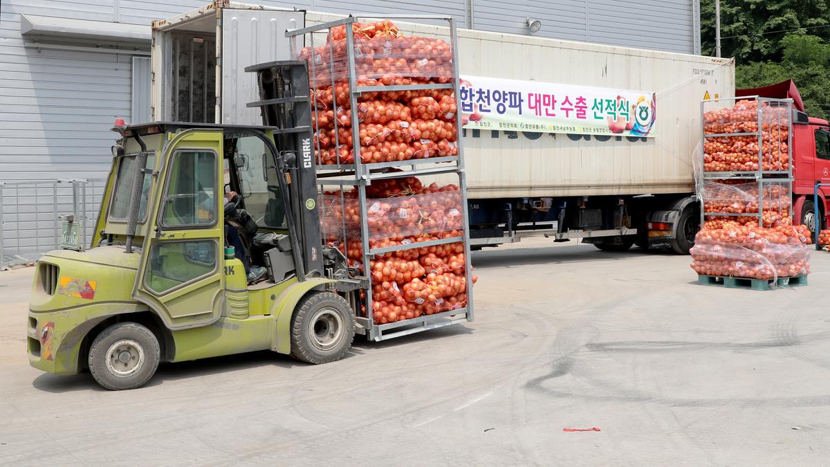 합천새남부농협 합천양파 대만 수출 선적식
