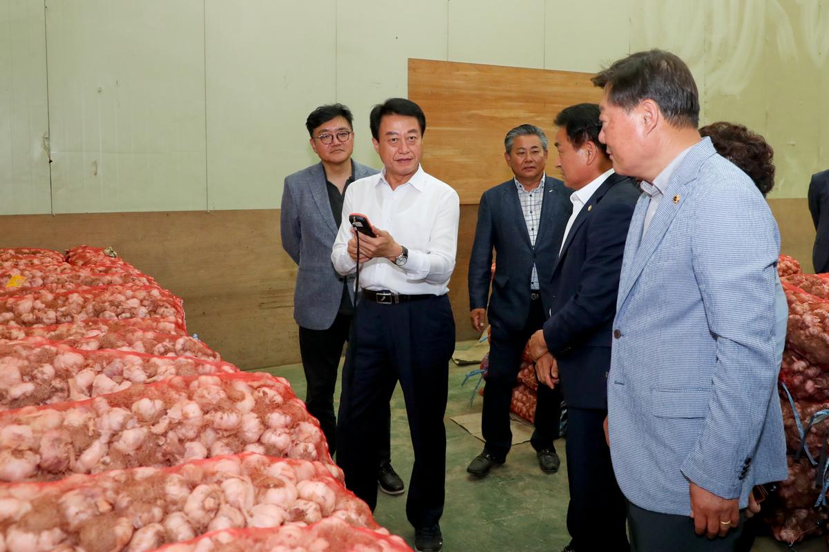 합천유통(주) 2019년산 건마늘 초매식