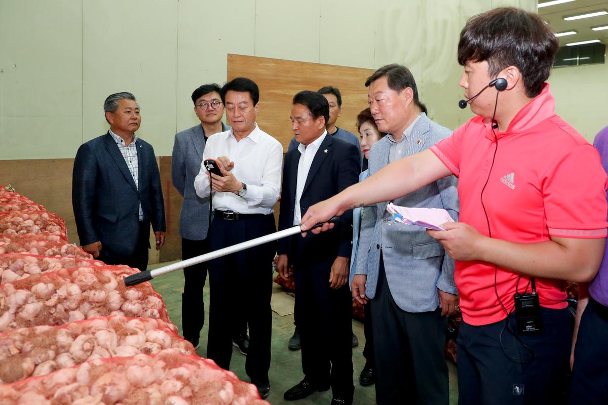 합천유통(주) 2019년산 건마늘 초매식
