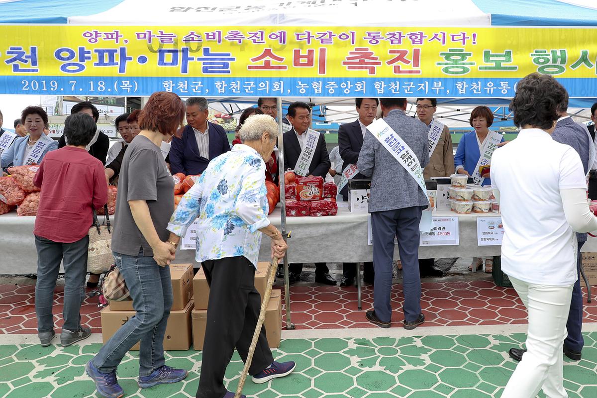 합천군 마늘·양파소비 촉진 행사