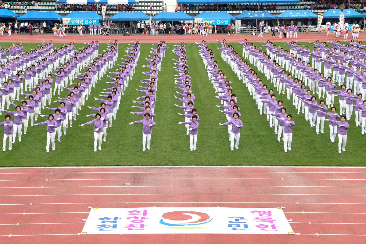 제30회 군민의날 ⁃ 제38회 군민체육대회 ⁃ 제35회 대야문화제3