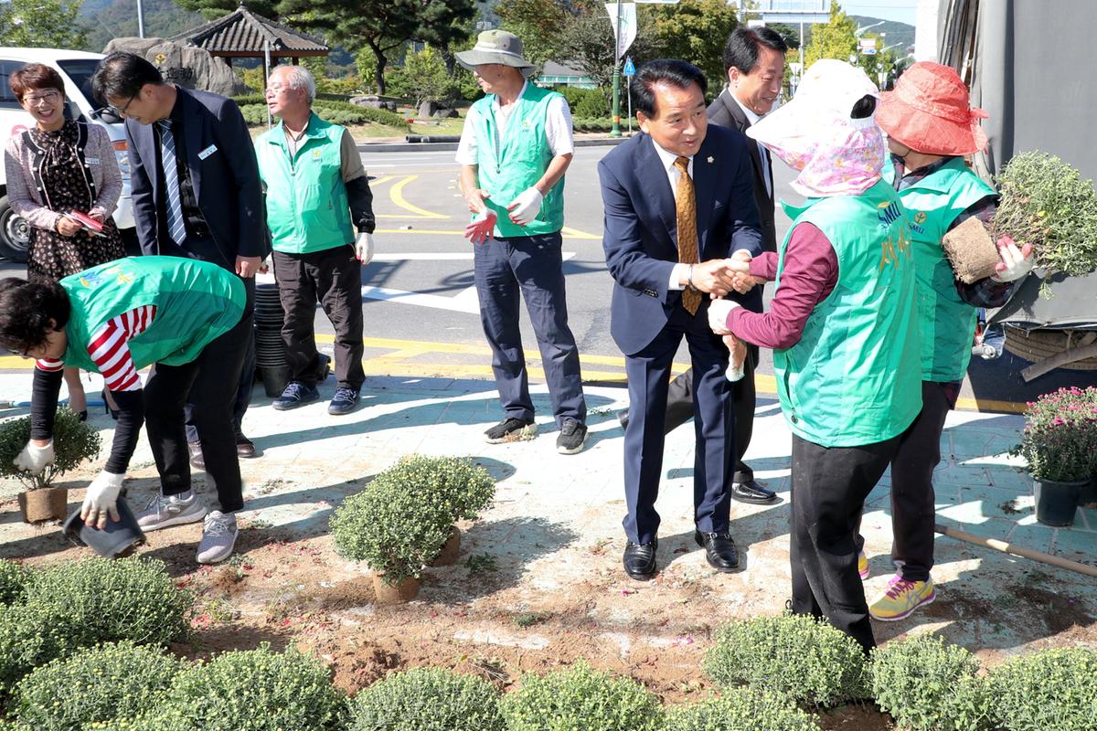 합천군새마을협의회 가을꽃 식제