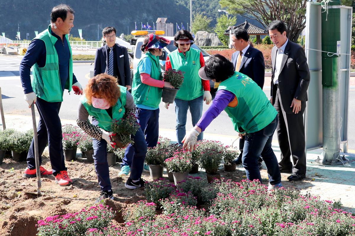 합천군새마을협의회 가을꽃 식제
