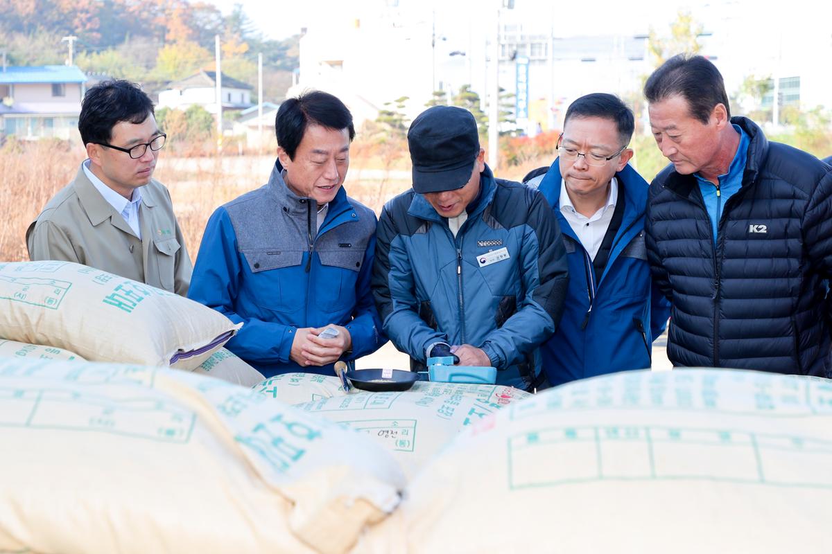 공공비축미 수매현장 방문(율곡면)