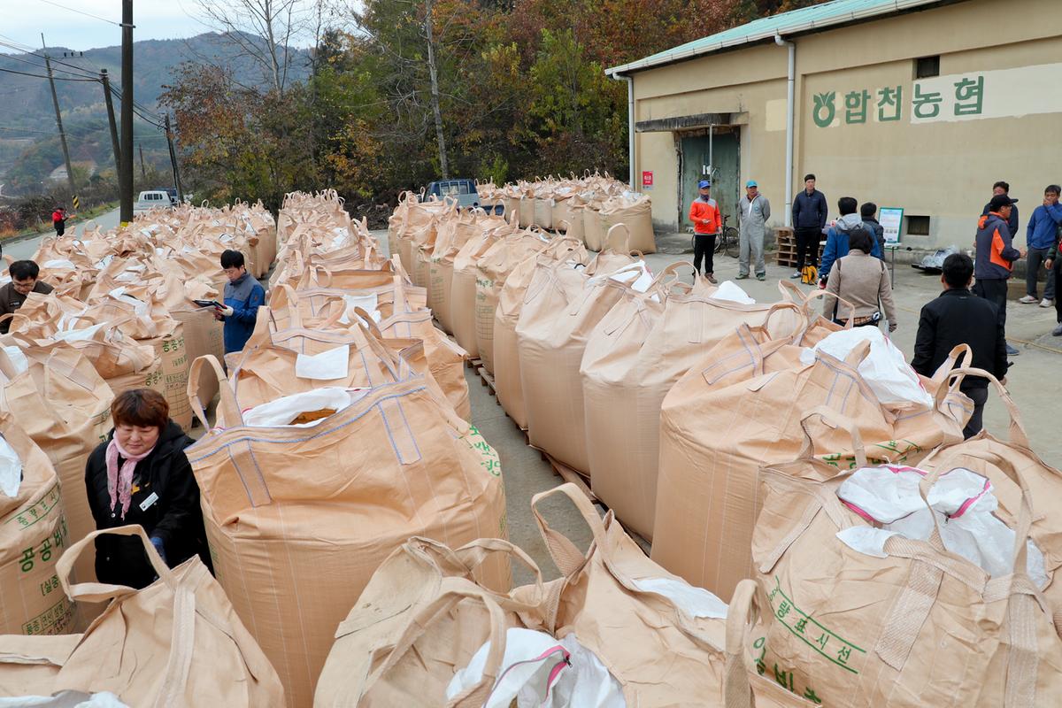 공공비축미 수매현장 방문