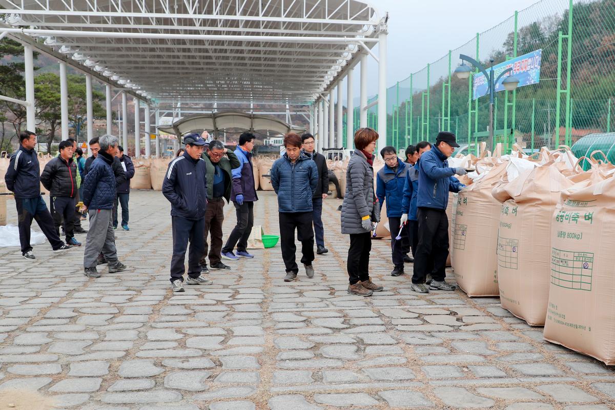 공공비축미 가회면 수매현장
