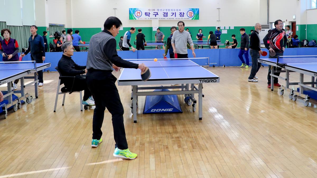 제13회 합천군생활체육대회