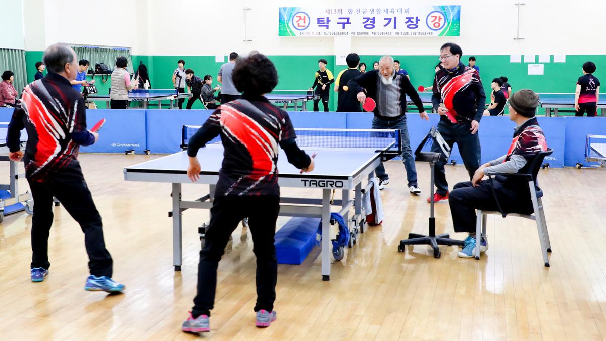 제13회 합천군생활체육대회