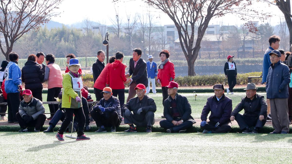 제13회 합천군생활체육대회