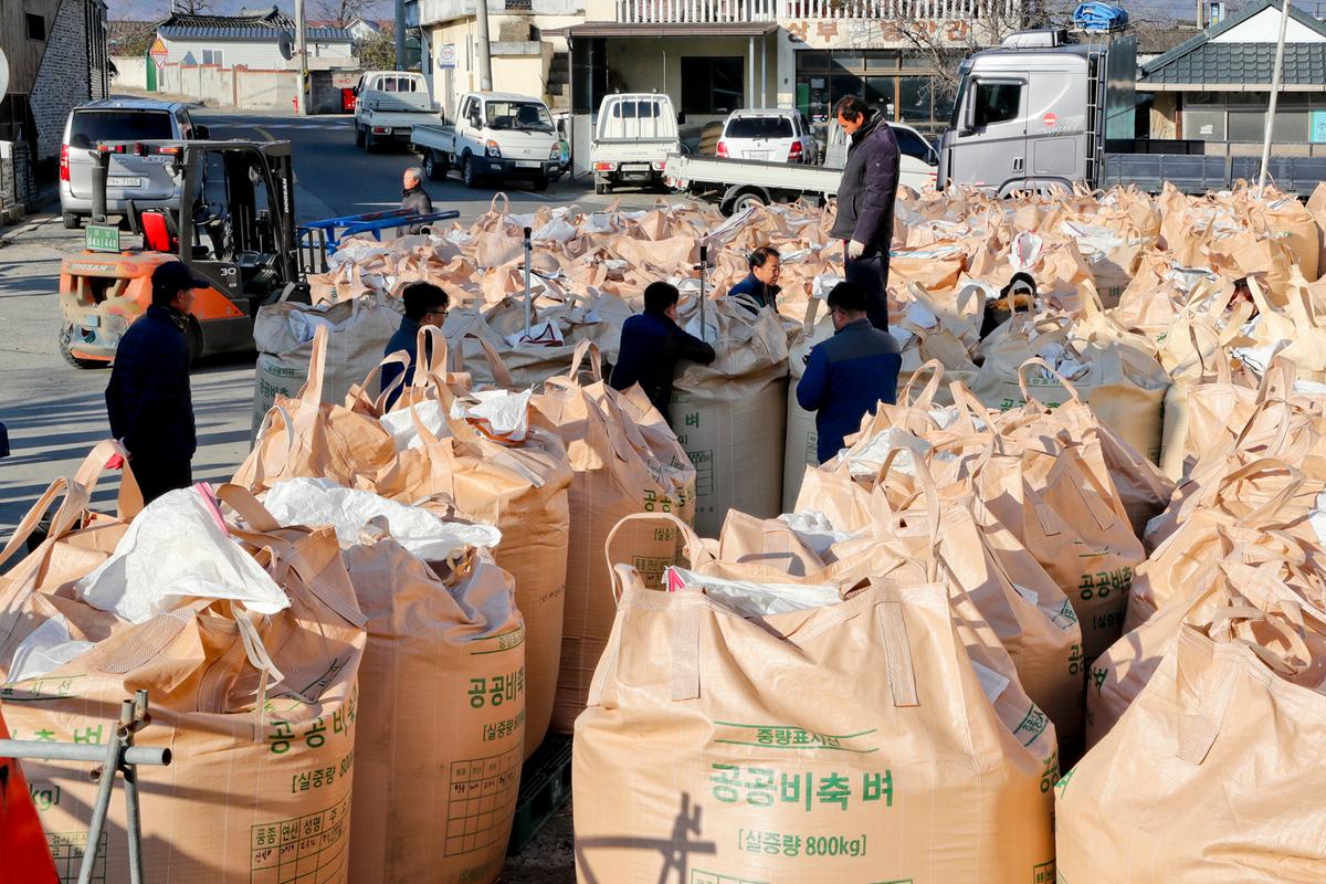 공공비축미 적중면 수매현장