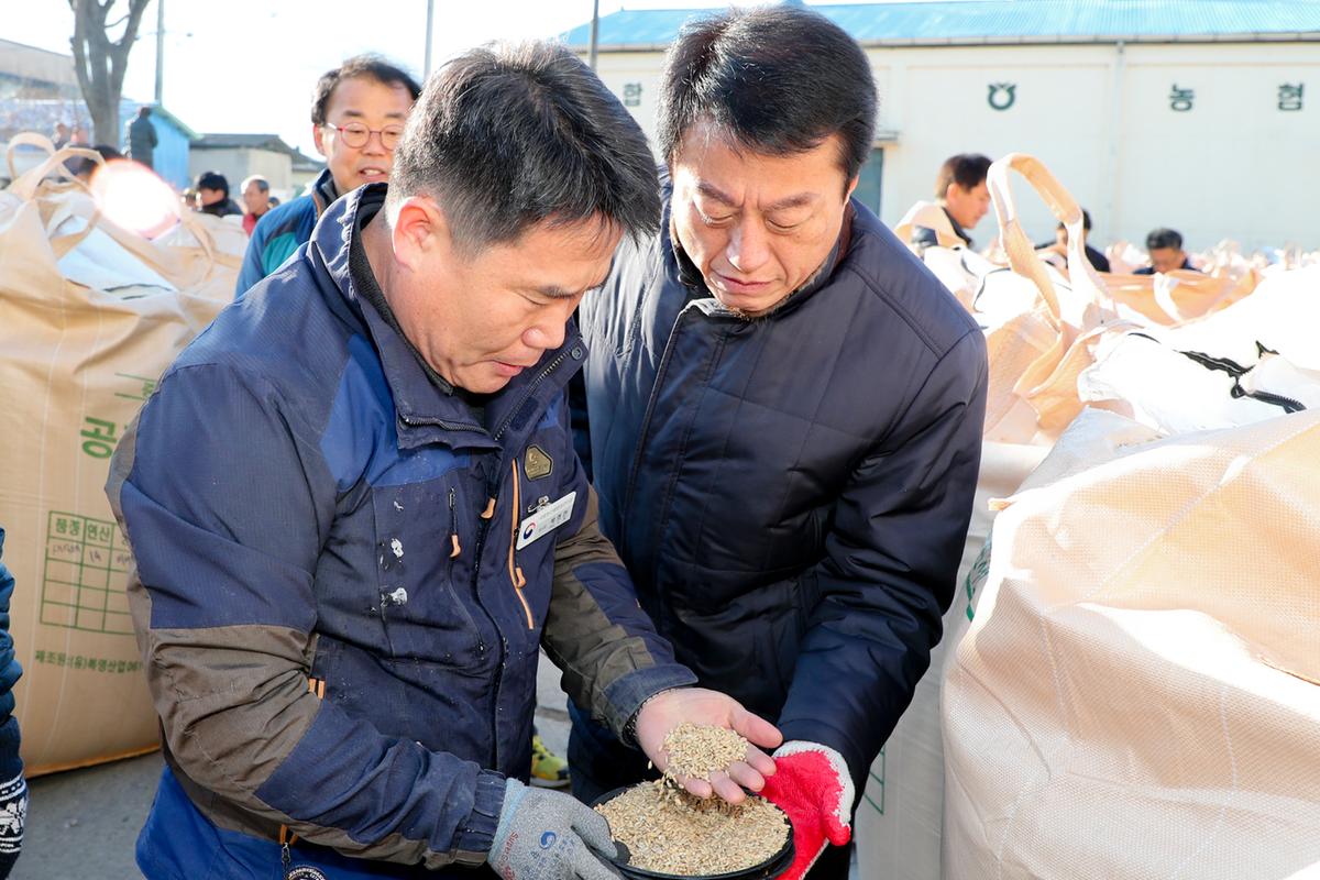 공공비축미 적중면 수매현장