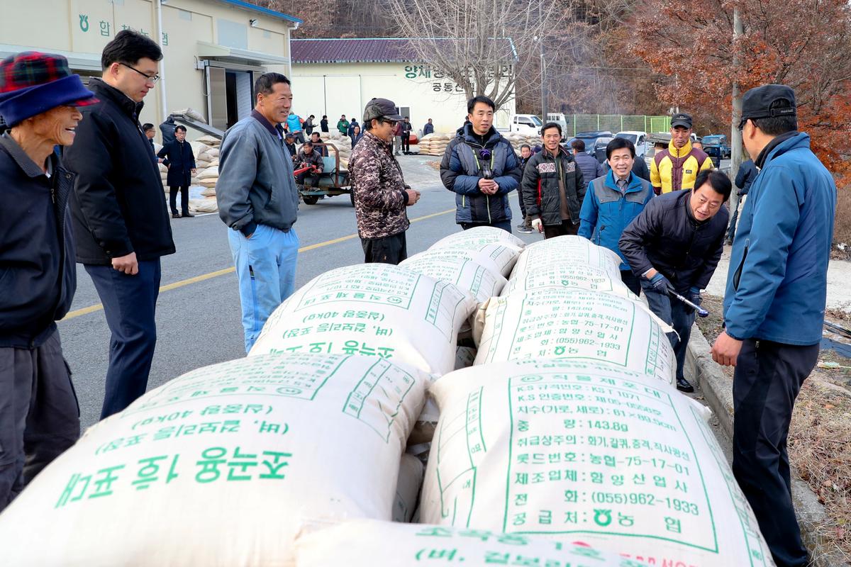 공공비축미 봉산면 수매현장