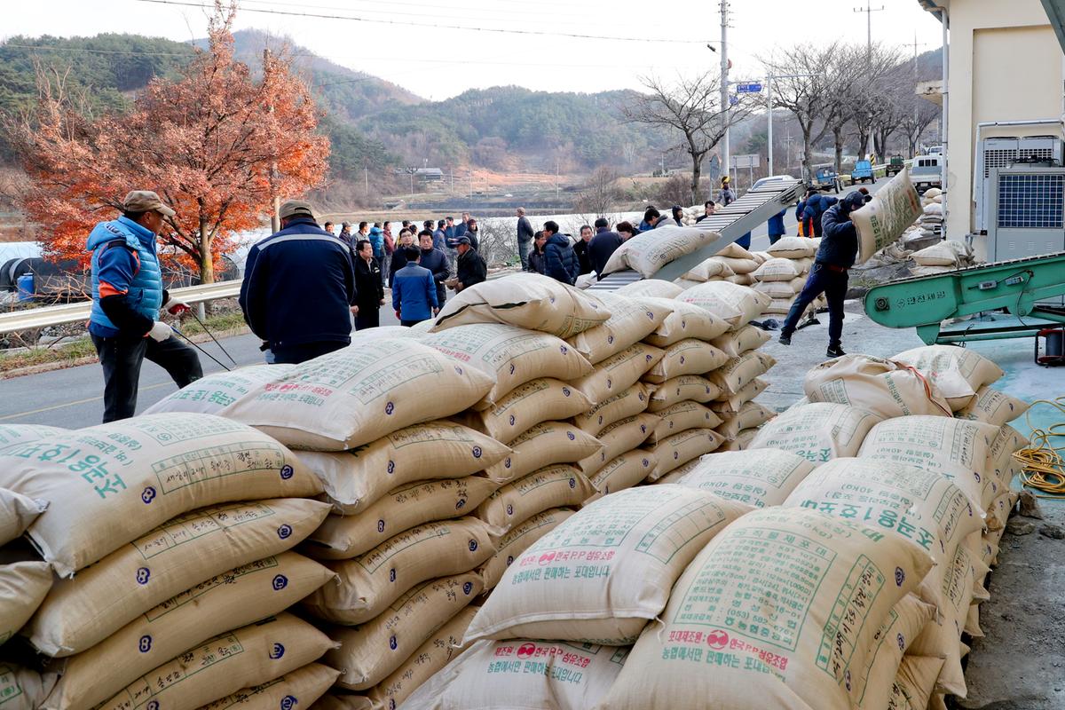 공공비축미 봉산면 수매현장