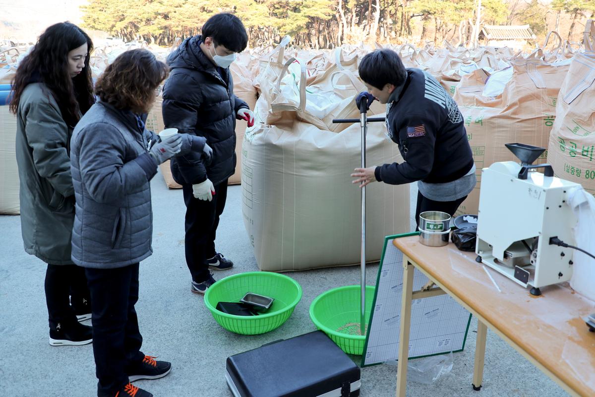 공공비축미 가야면 수매현장