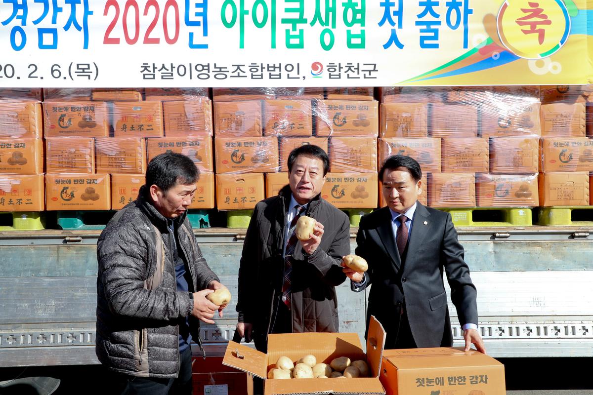 2020년산 친환경 감자 아이쿱 생협 출하 현장 방문