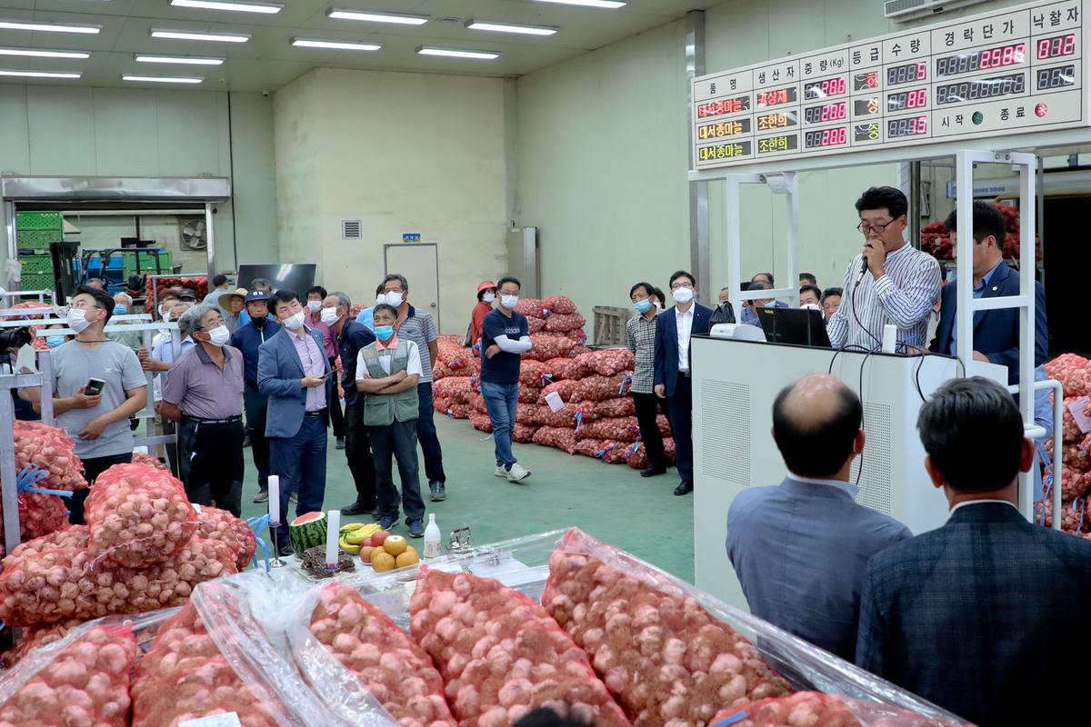 합천유통(주) 건마늘 경매 초매식
