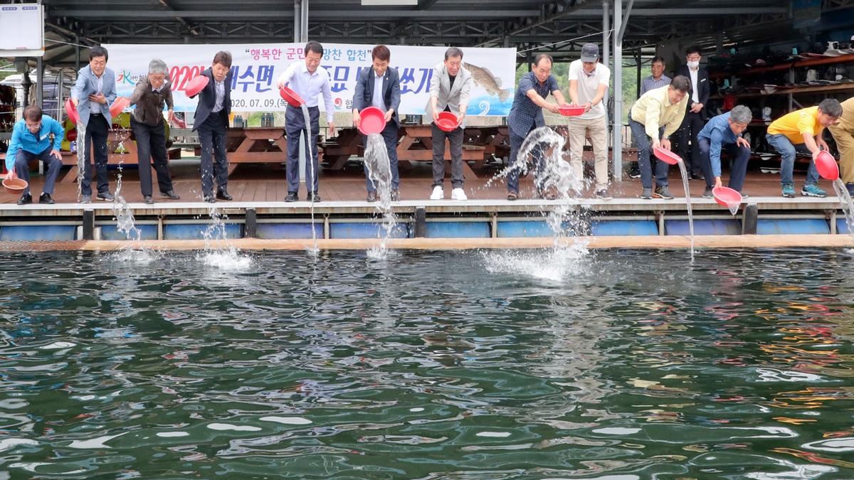 합천호 쏘가리 치어 방류