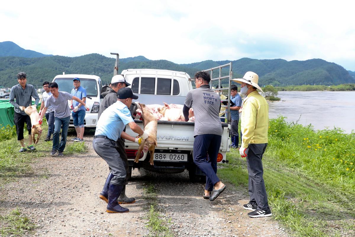 황강주변 수해 피해현장2
