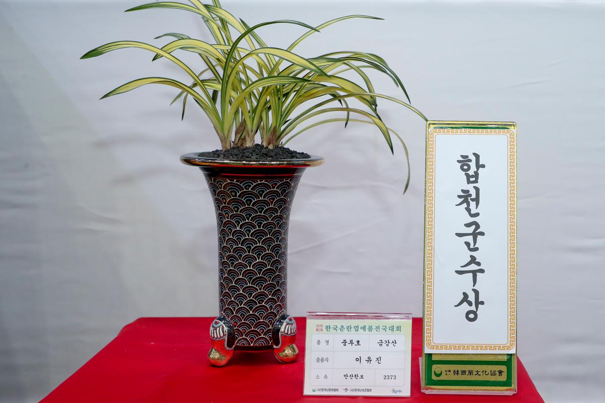 제27회 한국춘란 엽예품 전국대회 개회 및 시상