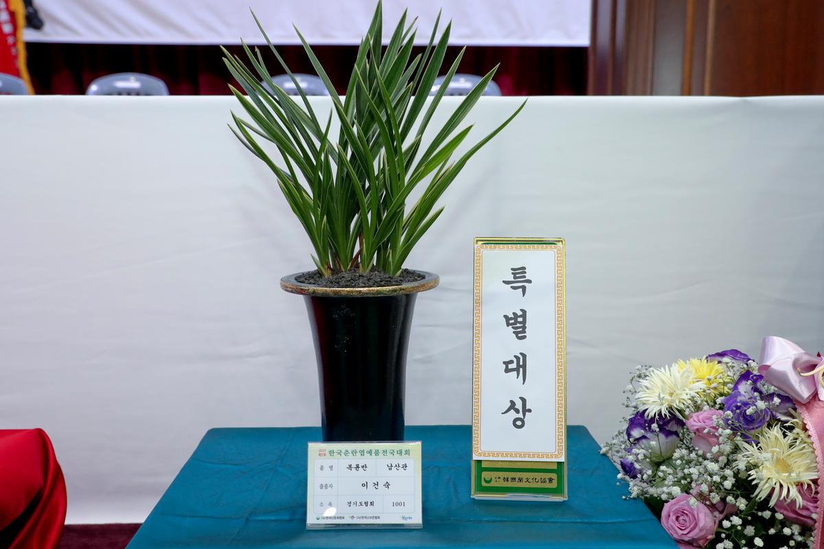제27회 한국춘란 엽예품 전국대회 개회 및 시상